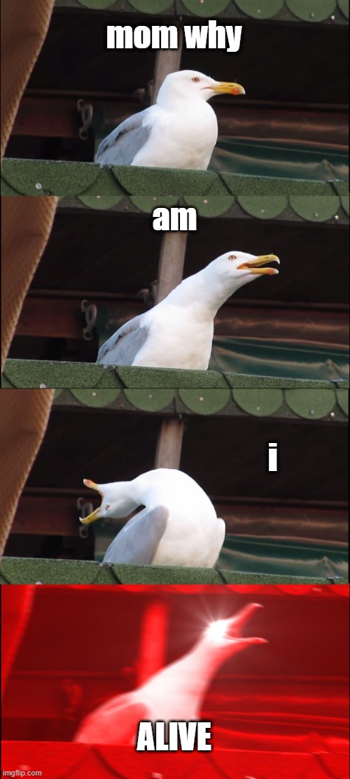 Inhaling Seagull | mom why; am; i; ALIVE | image tagged in memes,inhaling seagull | made w/ Imgflip meme maker