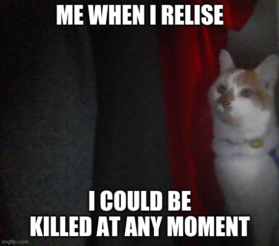I AM CAT MAN | ME WHEN I RELISE; I COULD BE KILLED AT ANY MOMENT | image tagged in i am cat man | made w/ Imgflip meme maker