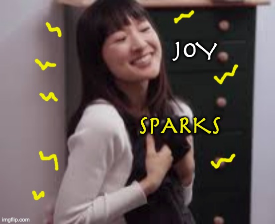 I wish folding my clothes made me feel like this | SPARKS JOY | image tagged in marie kondo,marie kondo spark joy,joy,delight | made w/ Imgflip meme maker