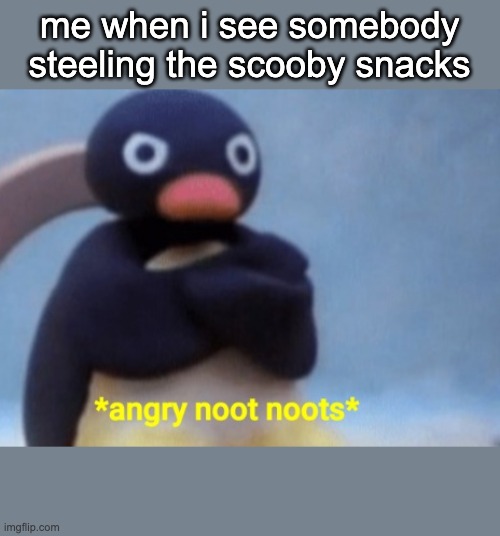 Angry noot noots | me when i see somebody steeling the scooby snacks | image tagged in angry noot noots | made w/ Imgflip meme maker
