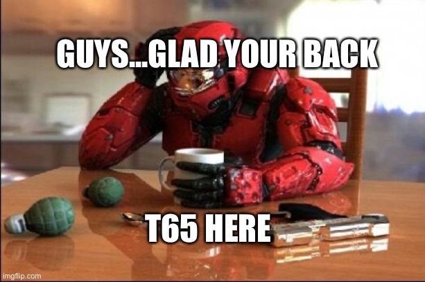 Yay | GUYS...GLAD YOUR BACK; T65 HERE | image tagged in halo | made w/ Imgflip meme maker