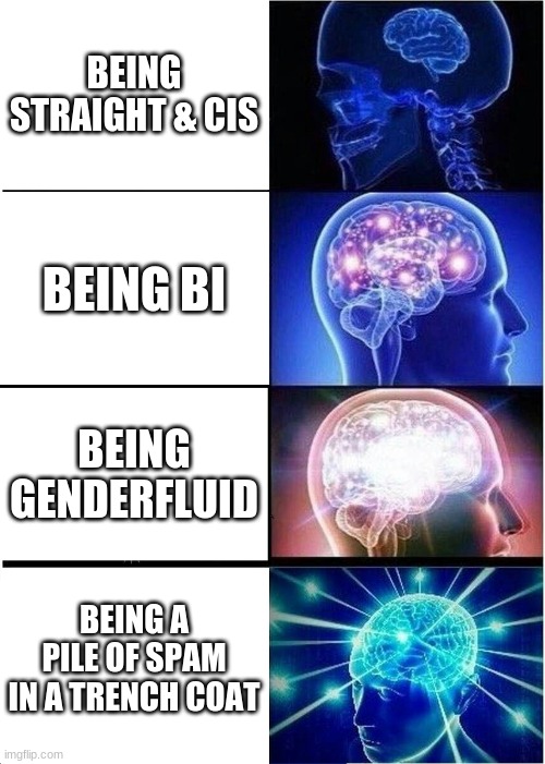 Expanding Brain Meme | BEING STRAIGHT & CIS; BEING BI; BEING GENDERFLUID; BEING A PILE OF SPAM IN A TRENCH COAT | image tagged in memes,expanding brain | made w/ Imgflip meme maker