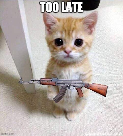 Cute Cat Meme | TOO LATE | image tagged in memes,cute cat | made w/ Imgflip meme maker