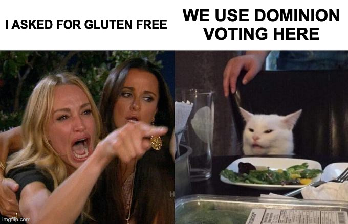 Not your way |  I ASKED FOR GLUTEN FREE; WE USE DOMINION VOTING HERE | image tagged in memes,woman yelling at cat,vote,order | made w/ Imgflip meme maker