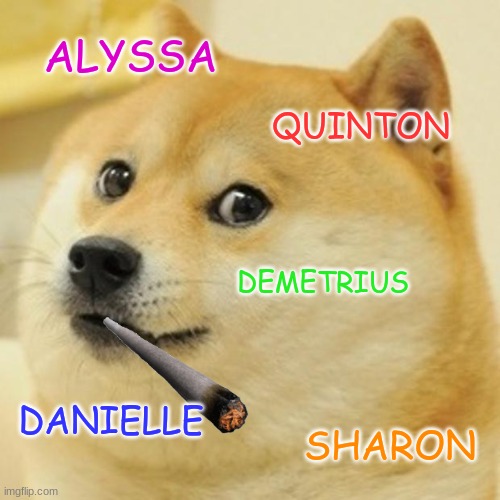 Doge Meme | ALYSSA; QUINTON; DEMETRIUS; DANIELLE; SHARON | image tagged in memes,doge | made w/ Imgflip meme maker