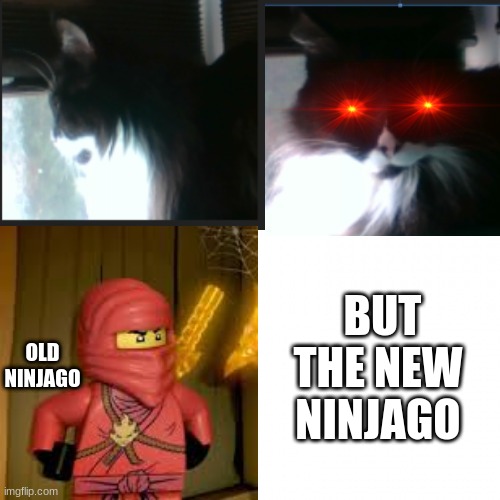 Im sorry but my opinion... | OLD NINJAGO; BUT THE NEW NINJAGO | made w/ Imgflip meme maker
