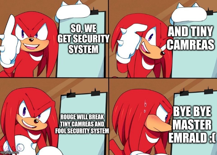 master emrald | SO, WE GET SECURITY SYSTEM; AND TINY CAMREAS; BYE BYE MASTER EMRALD :(; ROUGE WILL BREAK TINY CAMREAS AND FOOL SECURITY SYSTEM | image tagged in knuckles | made w/ Imgflip meme maker
