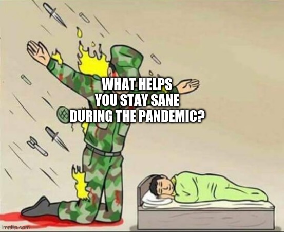 I've already lost my sanity | WHAT HELPS YOU STAY SANE DURING THE PANDEMIC? | image tagged in soldier protecting sleeping child,pandemic,covid-19 | made w/ Imgflip meme maker
