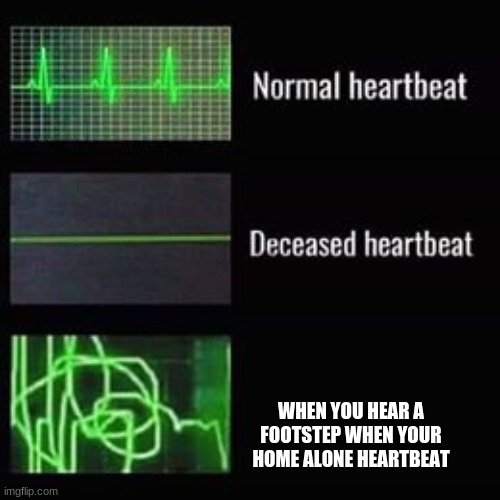 dvfff89u- | WHEN YOU HEAR A FOOTSTEP WHEN YOUR HOME ALONE HEARTBEAT | image tagged in heartbeat rate | made w/ Imgflip meme maker
