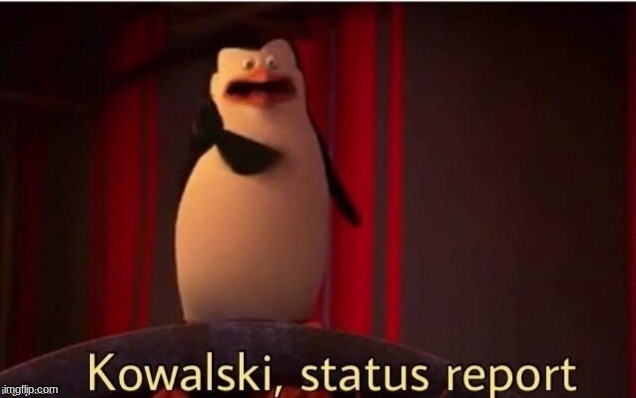 Kowalski Status Report | image tagged in kowalski status report | made w/ Imgflip meme maker