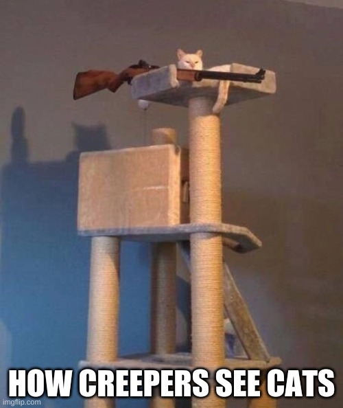 Sniper Cat | HOW CREEPERS SEE CATS | image tagged in sniper cat | made w/ Imgflip meme maker