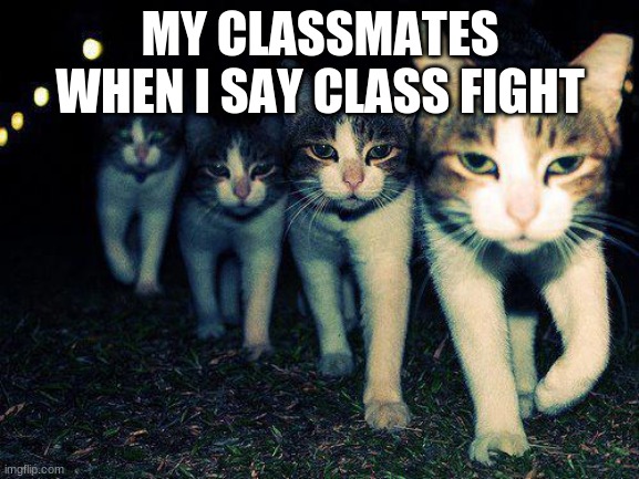 Wrong Neighboorhood Cats |  MY CLASSMATES WHEN I SAY CLASS FIGHT | image tagged in memes,wrong neighboorhood cats | made w/ Imgflip meme maker