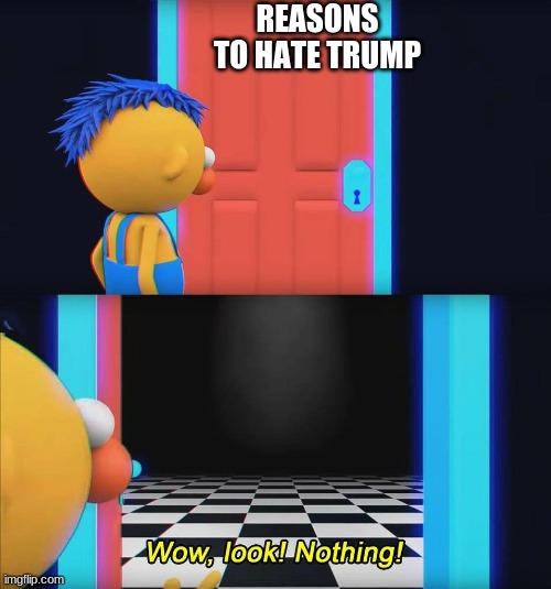 Reasons... | REASONS TO HATE TRUMP | image tagged in wow look nothing | made w/ Imgflip meme maker