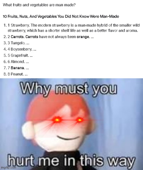 why | image tagged in why must you hurt me in this way | made w/ Imgflip meme maker