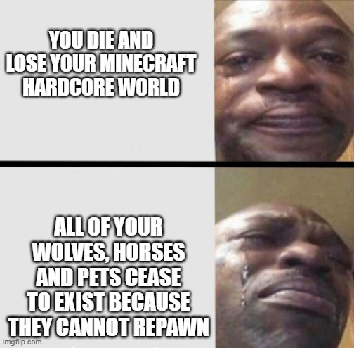 lik if u cri evrytim | YOU DIE AND LOSE YOUR MINECRAFT HARDCORE WORLD; ALL OF YOUR WOLVES, HORSES AND PETS CEASE TO EXIST BECAUSE THEY CANNOT REPAWN | image tagged in crying black dude weed,minecraft | made w/ Imgflip meme maker
