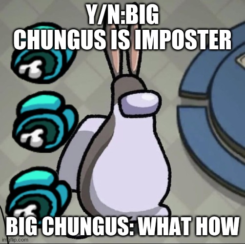 G+BIG CHUNGUS AINT IMPOSTER | Y/N:BIG CHUNGUS IS IMPOSTER; BIG CHUNGUS: WHAT HOW | image tagged in amchung us | made w/ Imgflip meme maker