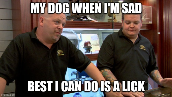 Pawn Stars Best I Can Do | MY DOG WHEN I'M SAD; BEST I CAN DO IS A LICK | image tagged in pawn stars best i can do | made w/ Imgflip meme maker