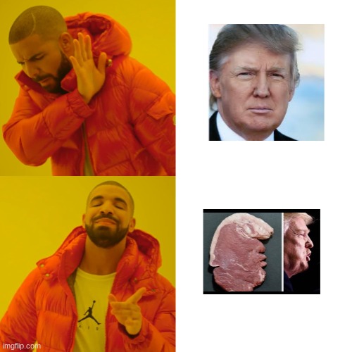 Not Sure If This Is A Political Meme. Anyway, Enjoy! | image tagged in drake hotline bling | made w/ Imgflip meme maker
