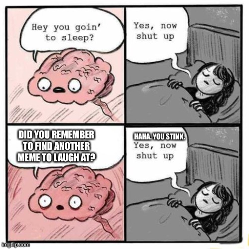 Hey you going to sleep? | HAHA. YOU STINK. DID YOU REMEMBER TO FIND ANOTHER MEME TO LAUGH AT? | image tagged in hey you going to sleep,roasted | made w/ Imgflip meme maker