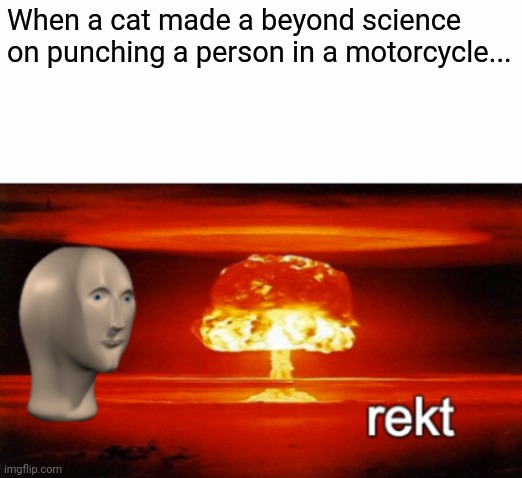 rekt w/text | When a cat made a beyond science on punching a person in a motorcycle... | image tagged in rekt w/text | made w/ Imgflip meme maker