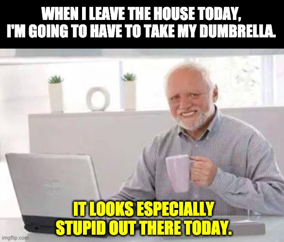 Dumbrella | WHEN I LEAVE THE HOUSE TODAY, I'M GOING TO HAVE TO TAKE MY DUMBRELLA. IT LOOKS ESPECIALLY STUPID OUT THERE TODAY. | image tagged in harold | made w/ Imgflip meme maker
