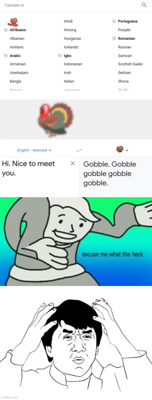 Apparently google translate can speak turkey now...? | image tagged in excuse me what the heck,memes,jackie chan wtf,google translate | made w/ Imgflip meme maker