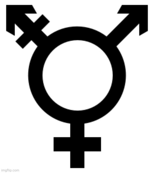 Transgender Symbol | image tagged in transgender symbol | made w/ Imgflip meme maker