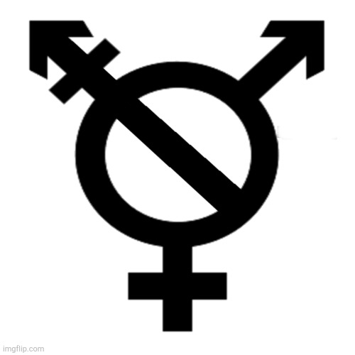Anti Transgender Symbol | image tagged in anti transgender symbol | made w/ Imgflip meme maker