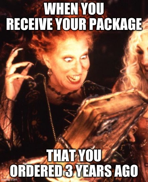 package | WHEN YOU RECEIVE YOUR PACKAGE; THAT YOU ORDERED 3 YEARS AGO | image tagged in winifred book | made w/ Imgflip meme maker