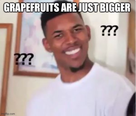 Nick Young | GRAPEFRUITS ARE JUST BIGGER | image tagged in nick young | made w/ Imgflip meme maker