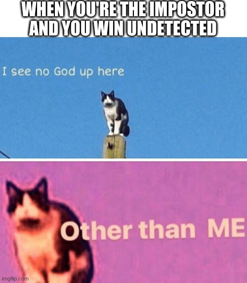 I am the only god in Among Us | WHEN YOU'RE THE IMPOSTOR AND YOU WIN UNDETECTED | image tagged in hail pole cat,among us,funny | made w/ Imgflip meme maker