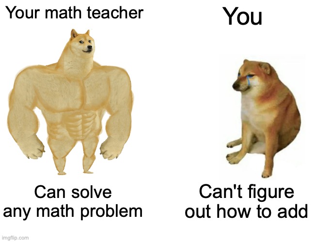 Buff Doge vs. Cheems Meme | Your math teacher You Can solve any math problem Can't figure out how to add | image tagged in memes,buff doge vs cheems | made w/ Imgflip meme maker