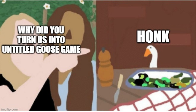 Untitled Goose Game - Yelling lady and cat | HONK; WHY DID YOU TURN US INTO UNTITLED GOOSE GAME | image tagged in untitled goose game - yelling lady and cat | made w/ Imgflip meme maker