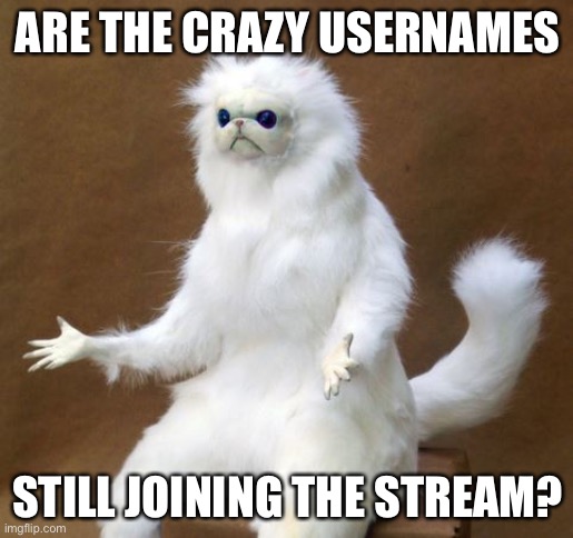 LOL | ARE THE CRAZY USERNAMES; STILL JOINING THE STREAM? | image tagged in what the heck cat,memes,crazy,imgflip,funny | made w/ Imgflip meme maker