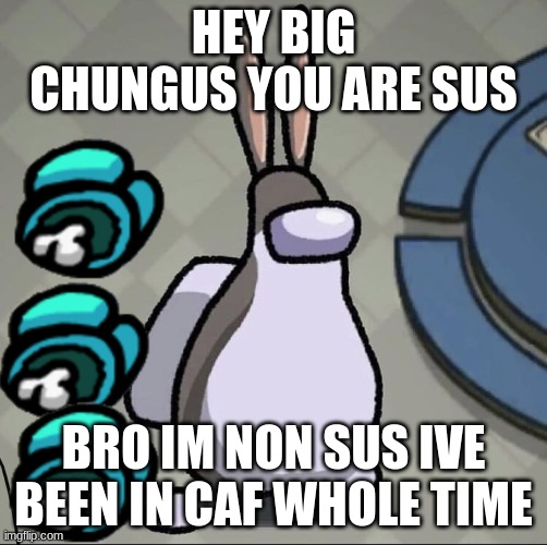 Amchung Us | HEY BIG CHUNGUS YOU ARE SUS; BRO IM NON SUS IVE BEEN IN CAF WHOLE TIME | image tagged in amchung us | made w/ Imgflip meme maker