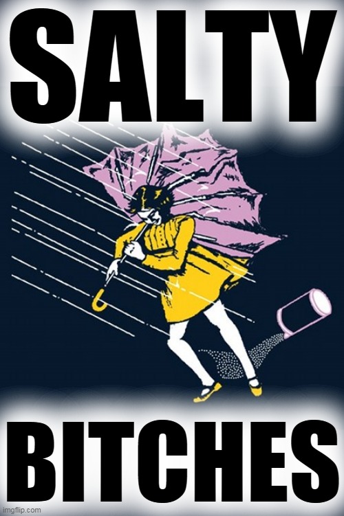 Salty Bitch? (KMC) | SALTY BITCHES | image tagged in salty bitch kmc | made w/ Imgflip meme maker