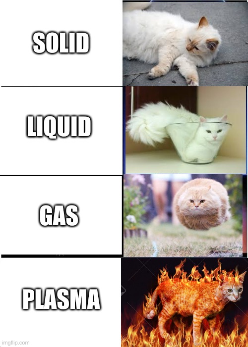 The four states of cat |  SOLID; LIQUID; GAS; PLASMA | image tagged in memes,expanding brain | made w/ Imgflip meme maker