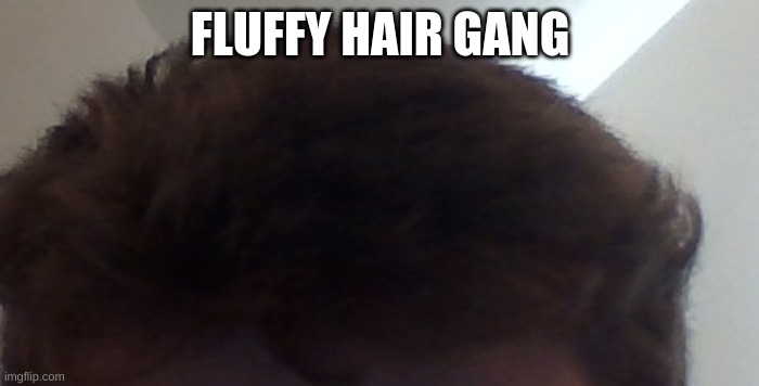l o l | FLUFFY HAIR GANG | made w/ Imgflip meme maker