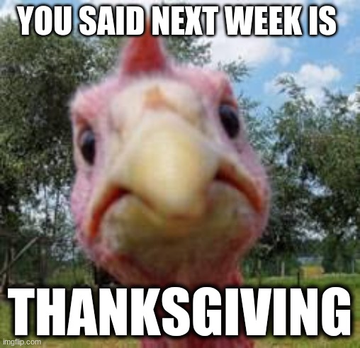 turkey | YOU SAID NEXT WEEK IS; THANKSGIVING | image tagged in turkey | made w/ Imgflip meme maker