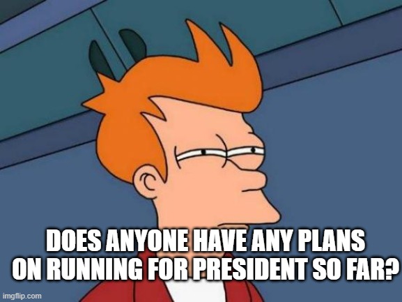 Futurama Fry Meme | DOES ANYONE HAVE ANY PLANS ON RUNNING FOR PRESIDENT SO FAR? | image tagged in memes,futurama fry | made w/ Imgflip meme maker