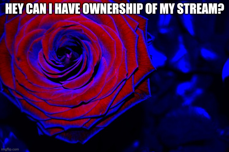 roses are red, violets are blue, | HEY CAN I HAVE OWNERSHIP OF MY STREAM? | image tagged in roses are red violets are blue | made w/ Imgflip meme maker