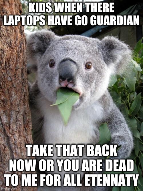 Surprised Koala | KIDS WHEN THERE LAPTOPS HAVE GO GUARDIAN; TAKE THAT BACK NOW OR YOU ARE DEAD TO ME FOR ALL ETENNATY | image tagged in memes,surprised koala | made w/ Imgflip meme maker