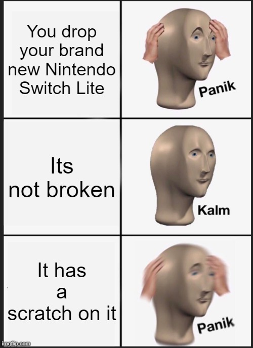 Perfectionists be like: | You drop your brand new Nintendo Switch Lite; Its not broken; It has a scratch on it | image tagged in memes,panik kalm panik,nintendo switch,literal meme,funny | made w/ Imgflip meme maker