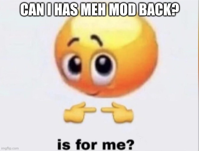 is for me? | CAN I HAS MEH MOD BACK? | image tagged in is for me | made w/ Imgflip meme maker