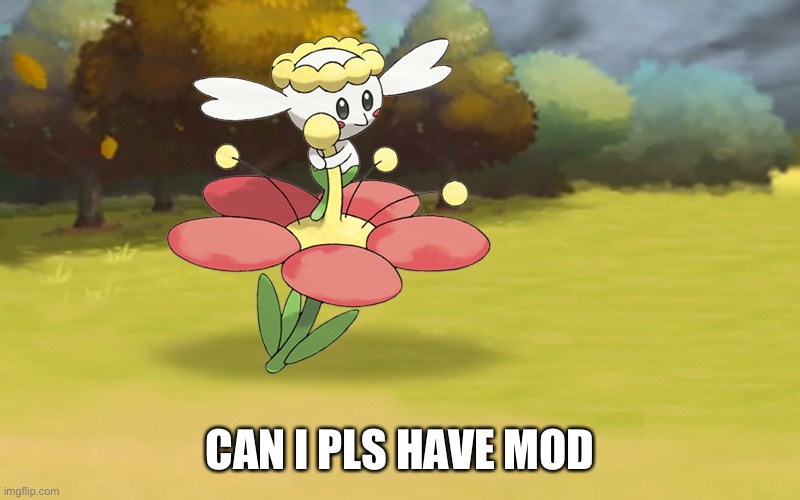 Poke | CAN I PLS HAVE MOD | image tagged in poke | made w/ Imgflip meme maker