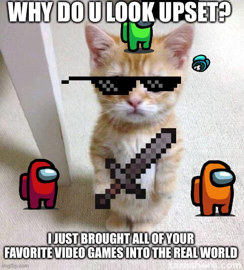 Gamer Cat | WHY DO U LOOK UPSET? I JUST BROUGHT ALL OF YOUR FAVORITE VIDEO GAMES INTO THE REAL WORLD | image tagged in memes,cute cat,gaming,minecraft,among us | made w/ Imgflip meme maker