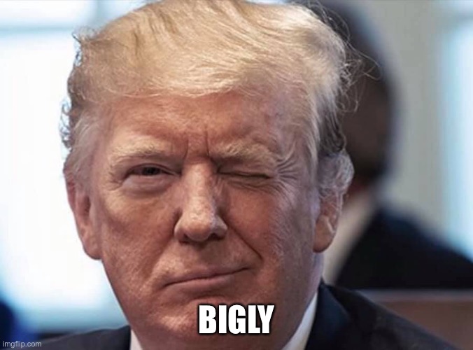 Trump wink | BIGLY | image tagged in trump wink | made w/ Imgflip meme maker