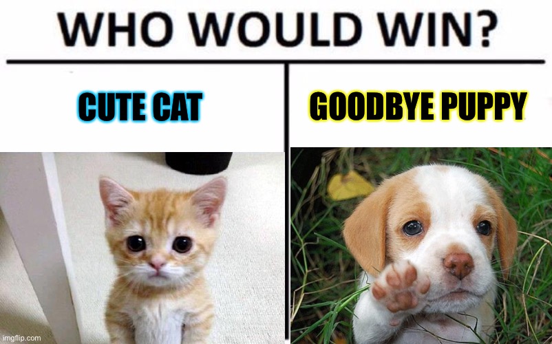 Cuteness contest | GOODBYE PUPPY; CUTE CAT | image tagged in so cute,cat,vs,dog | made w/ Imgflip meme maker