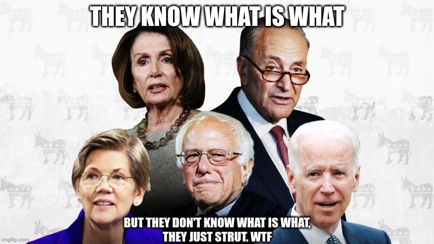 WTF | THEY KNOW WHAT IS WHAT; BUT THEY DON'T KNOW WHAT IS WHAT,
THEY JUST STRUT. WTF | image tagged in wtf,strut,demonrats | made w/ Imgflip meme maker