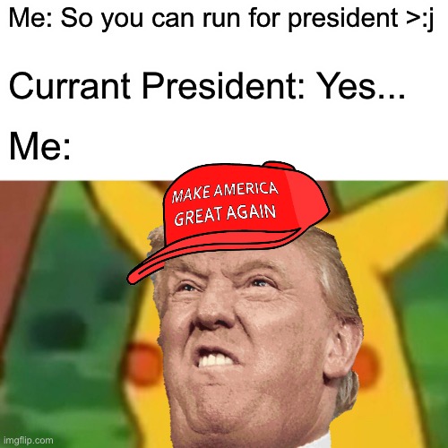 what-does-it-take-to-run-president-imgflip